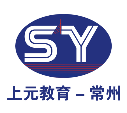 收入证明_咨询顾问收入