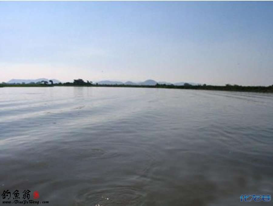 [转帖] 钓鱼疯子的巴西 巴拉圭河 朝圣(亚马逊续