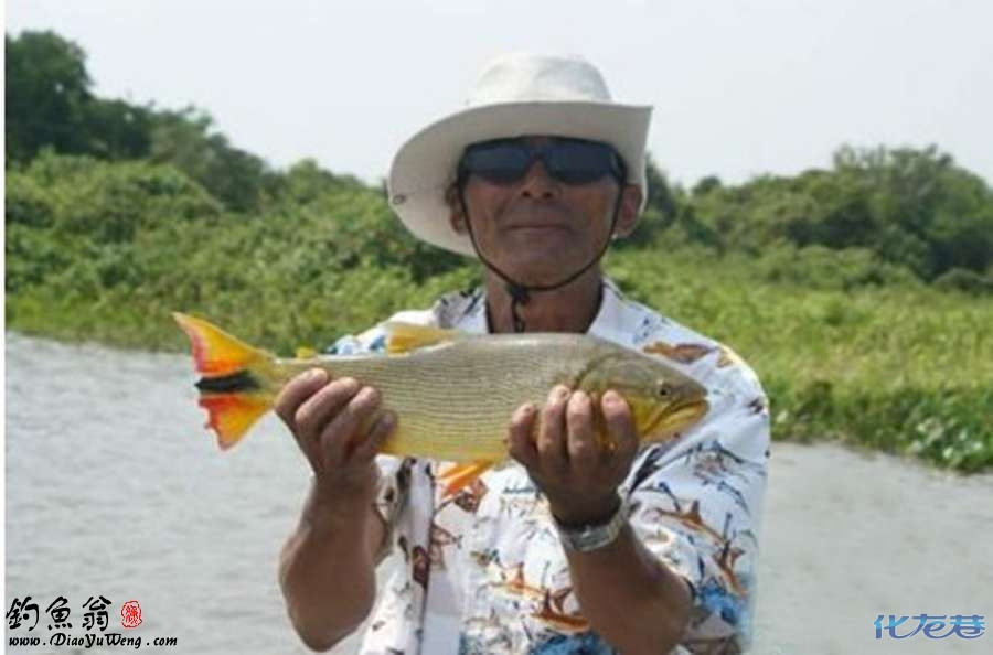 [转帖] 钓鱼疯子的巴西 巴拉圭河 朝圣(亚马逊续