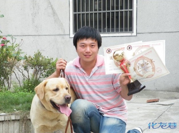 <em>美女</em>拉布拉多<em>选老公</em>啦!-第3页|宠物姻缘区-化龙