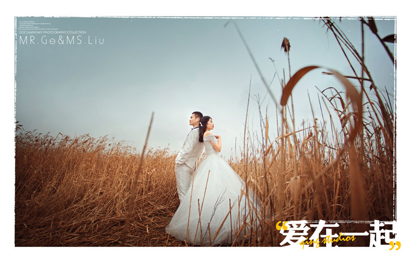 婚纱拍摄感言_动漫婚纱情侣头像(3)