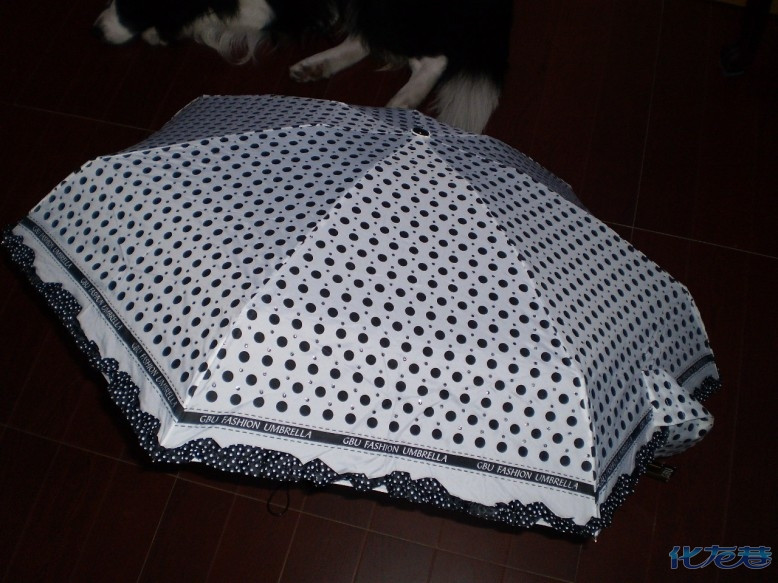 ★、★【现货团】偶像剧最红主角--彩虹伞来了