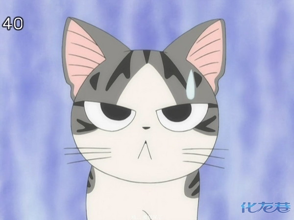 356808131_微博贱猫表情-5微博很火的贱猫表情 微博贱猫表情 ...