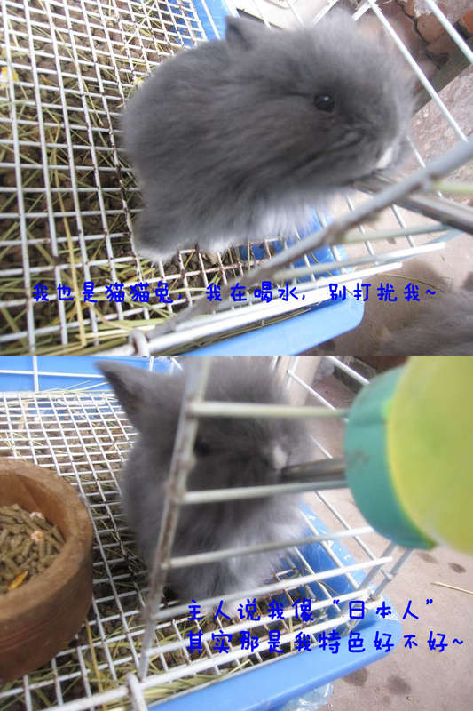 230289_136870983875796390.jpg