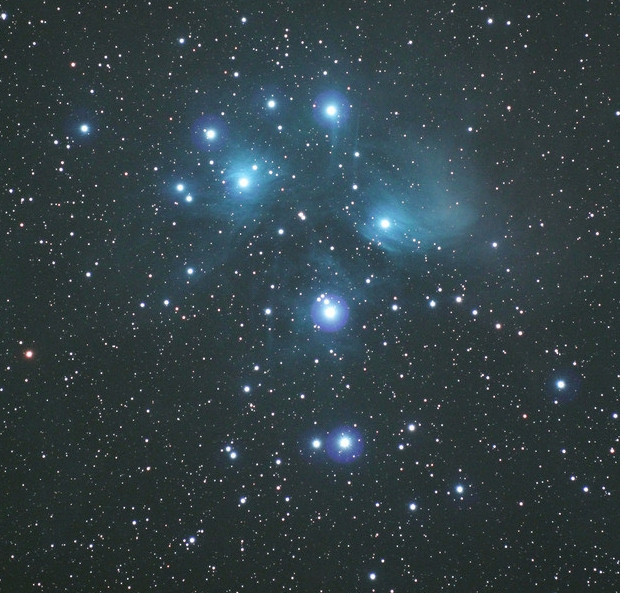ţ(m45)