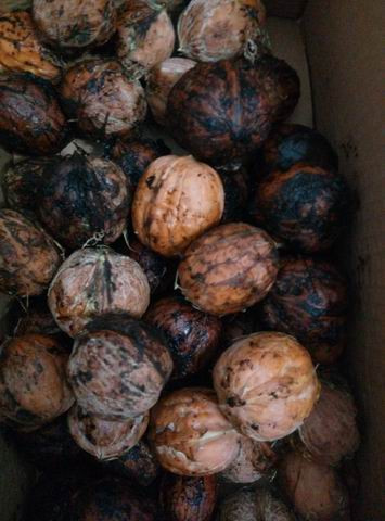 我敢说绝大部分常州人都没见过这玩意!亲戚到