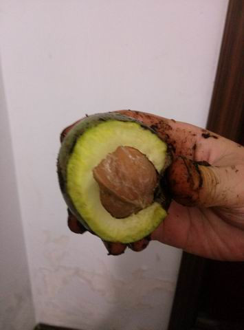 我敢说绝大部分常州人都没见过这玩意!亲戚到