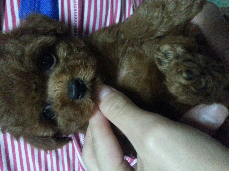 <em>外号外号</em>!强盗<em>萌妹子</em>大眼帅哥傻傻分不清楚!|宠