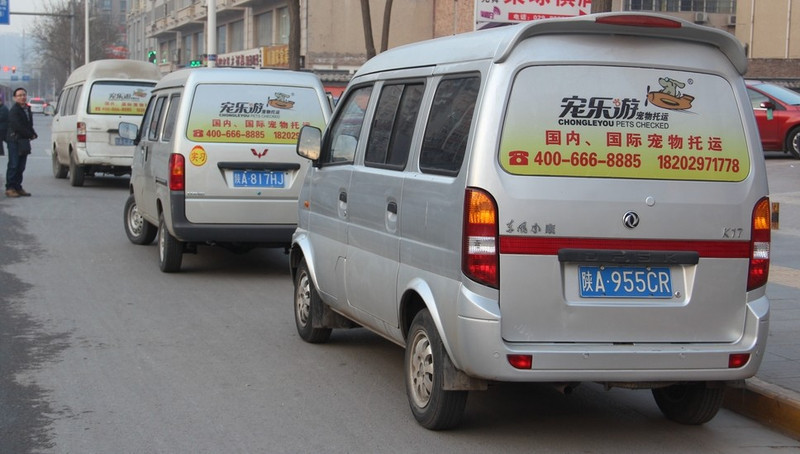 常州宠乐游|常州宠物托运 宠物汽运、宠物空运
