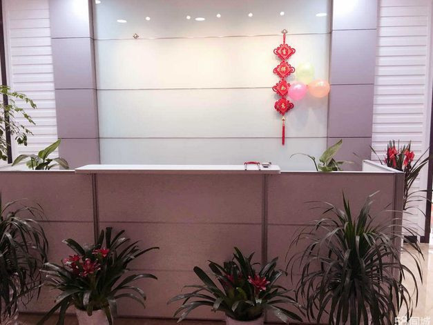 长白班双休五险一金恒温办公室|招聘求职