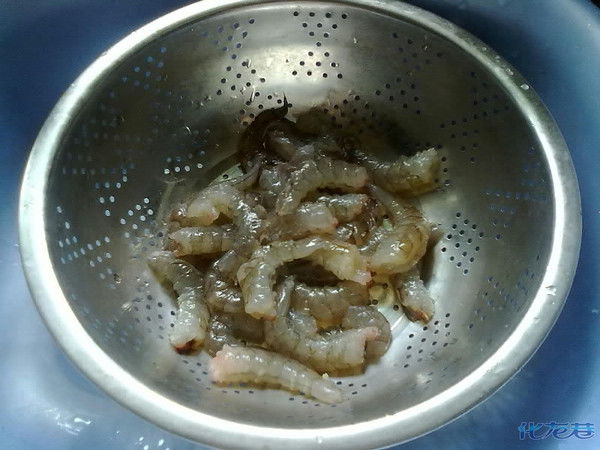 :现在虾仁剥好了,下一步该怎么处理呢?|龙城美