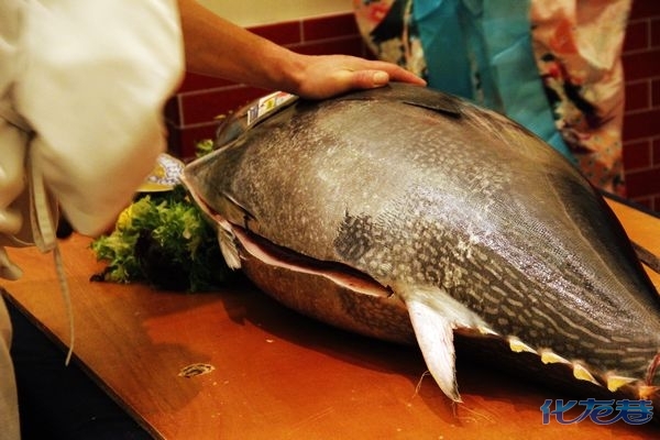 九洲喜来登酒店湖月餐厅,渔季开市仪式暨联合