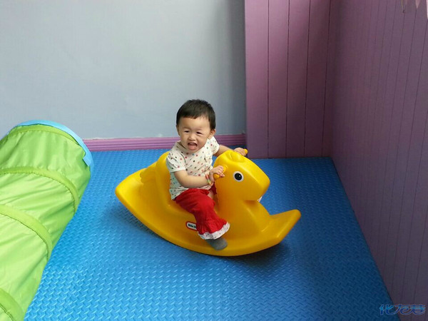 常州悦宝园早教首届运动会-参后感言,语文水平