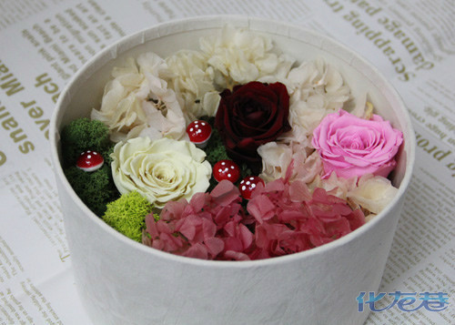 化龙巷福利:情人节高品质鲜花震撼超低价,仅2