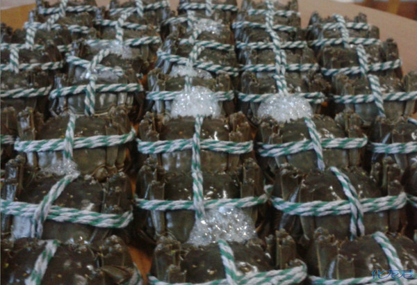 自产自销长荡湖大闸蟹,江浙沪顺丰包邮,常州当