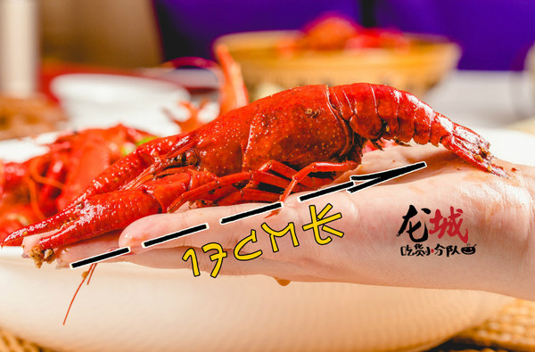 2218_732439_c1ea4a4ffe935571.jpg