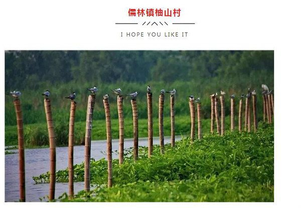 点击查看原图