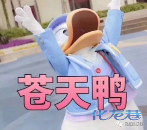点击查看原图