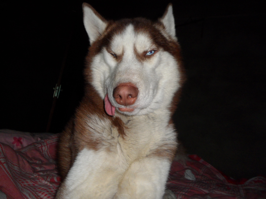 屌丝9连拍,表情2到爆,亮瞎你们的氪金狗眼!